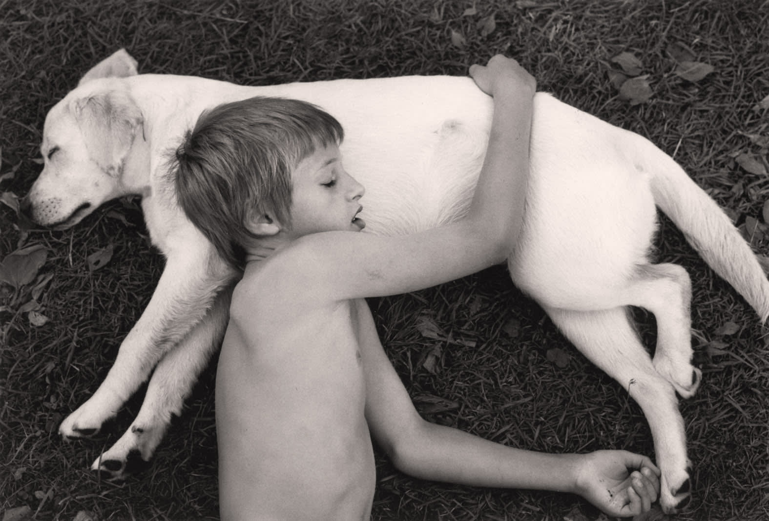 Pentti Sammallahti, Pyhäjärvi, Finland (Sleeping Boy & Dog), 2000 (Printed Later)