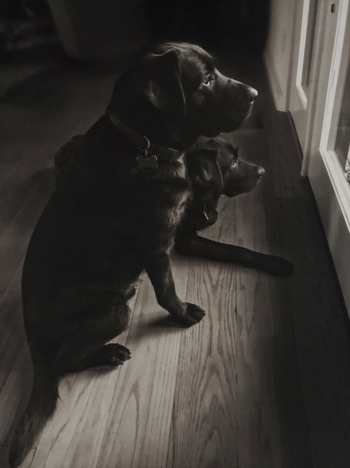 Matt Connors, Waiting for Mom, 2017