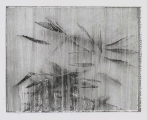 Byung-Hun Min, WV016 BHM, 1996