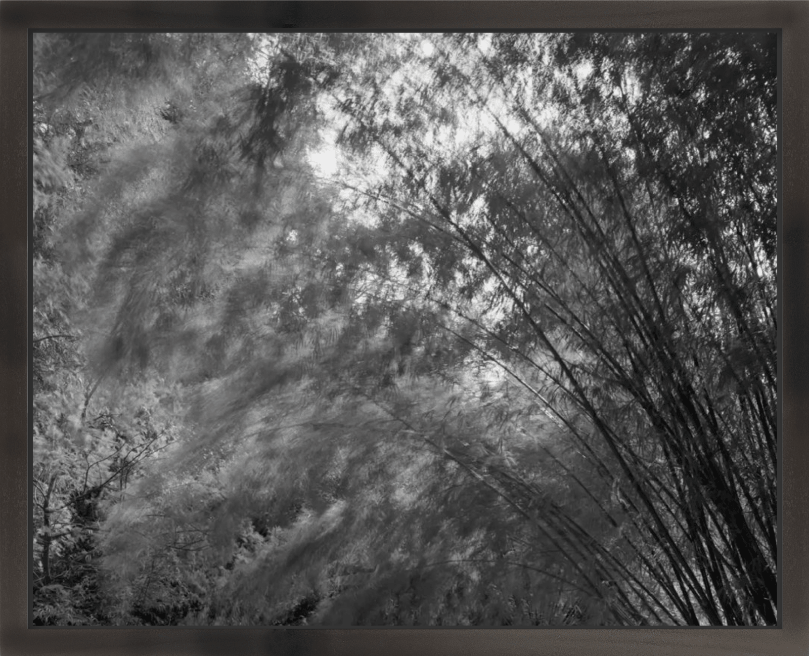 Nicholas Hughes, The Sound of Space Breathing (I), #15, 2017