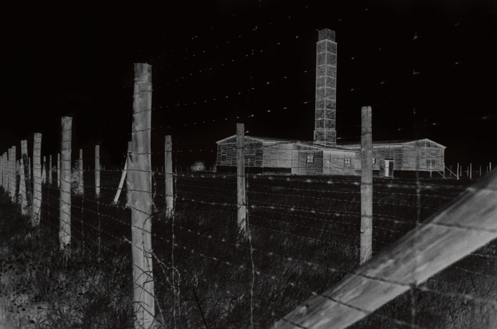 Judy Glickman Lauder, Majdanek extermination camp, Poland, 2018