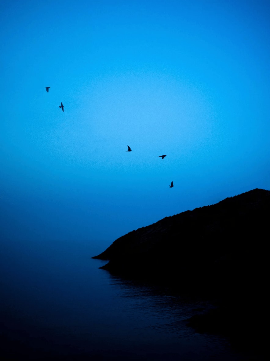 Paul Cupido, Azul, 2023