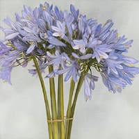 Brigitte Carnochan, Nile Lilies, 2006