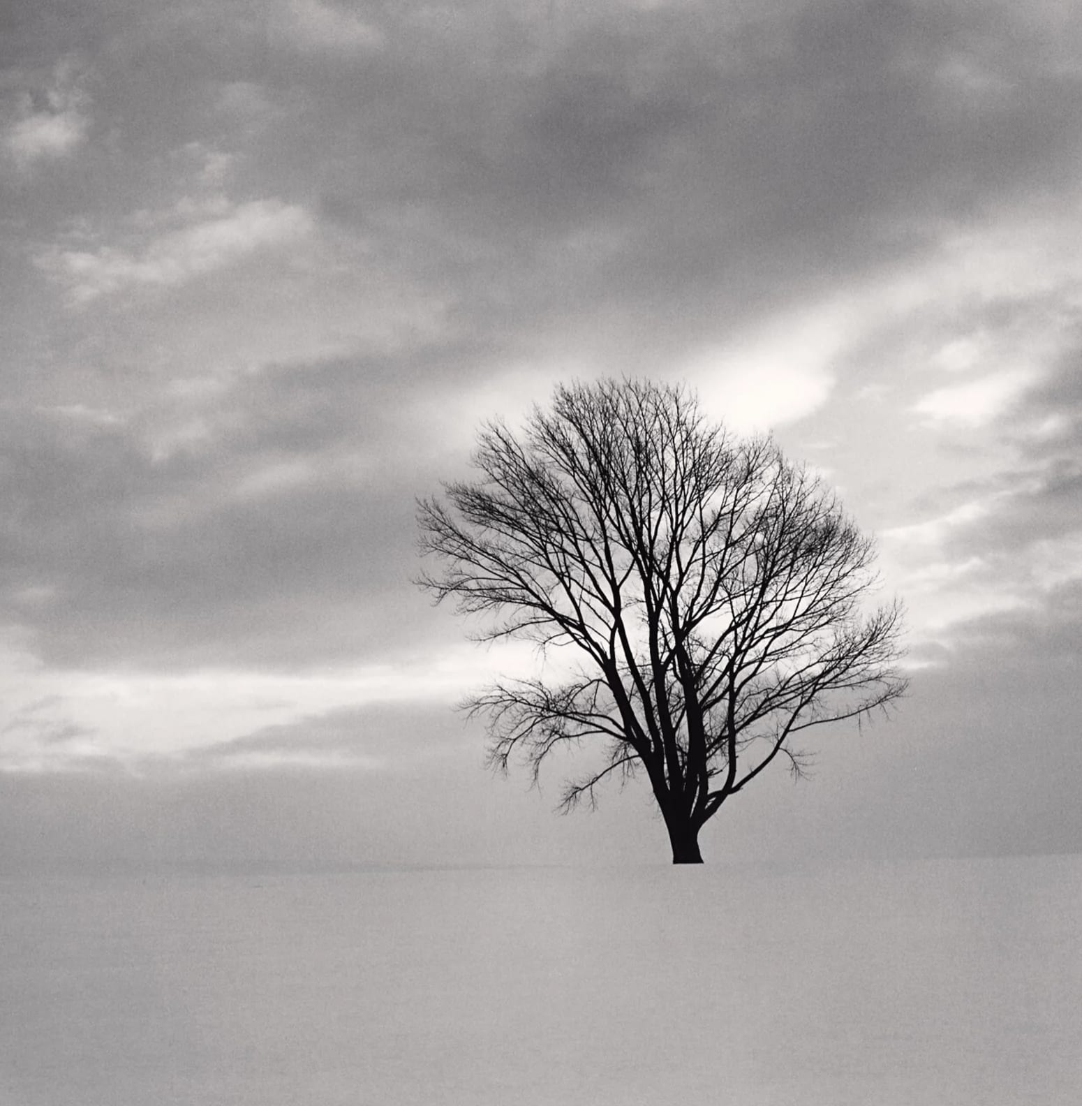 Michael Kenna, Philosopher’s Tree, Study 7, Biei, Hokkaido, Japan,, 2009