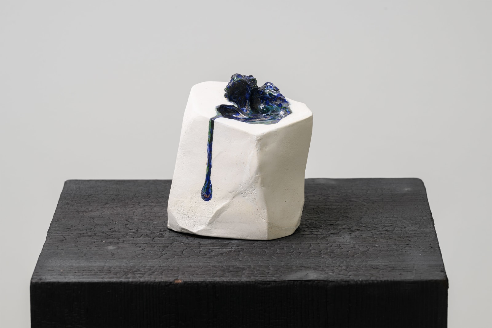 Grace Schwindt, Bird Shadow, 2022