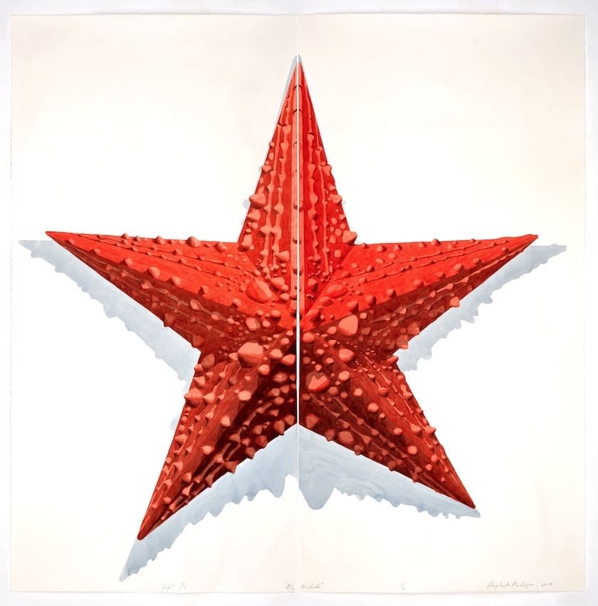 Dagoberto Rodriguez, No Estrella, 2018