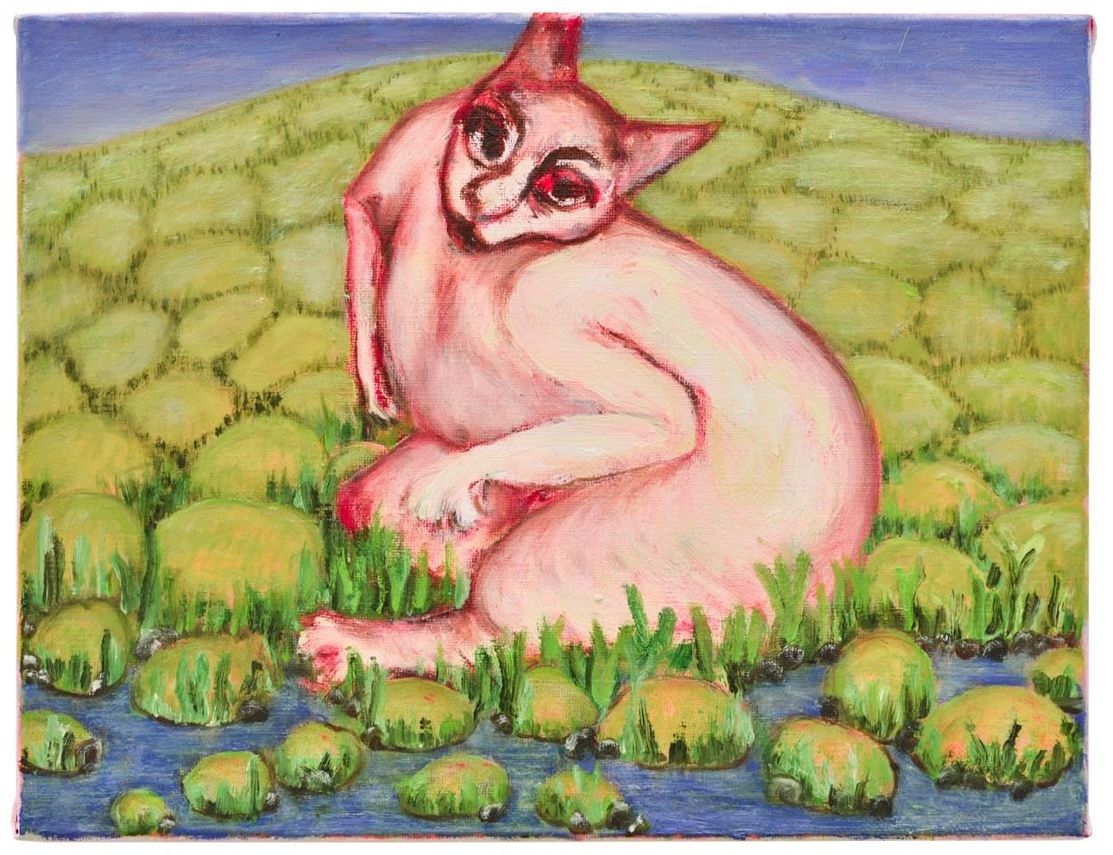 Andriu Deplazes, Katzenwesen, 2020