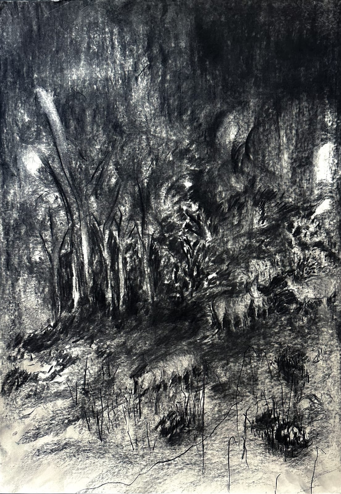 Yehudit Sasportas, Adam-Haya 16, 2022