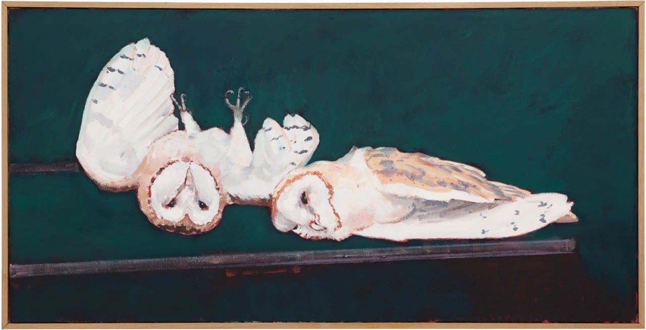 Marc-Antoine Fehr, Deux Chouettes, 2019