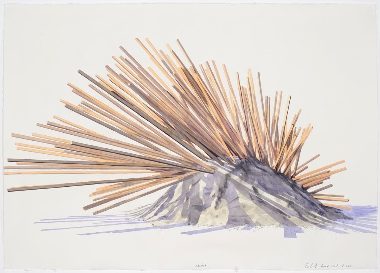 Los Carpinteros, Mullet, 2013