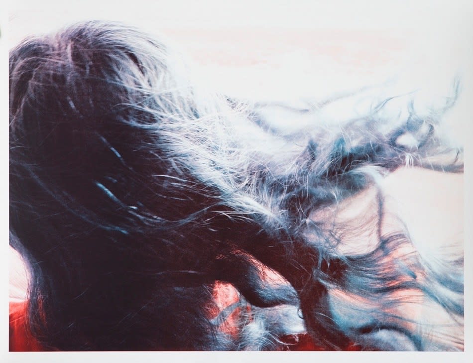 Shirana Shahbazi, Haare, 2014