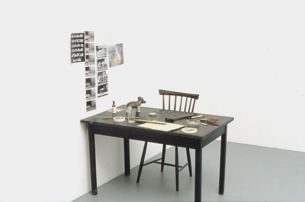 Francis Alÿs, Placebo, 1998-99