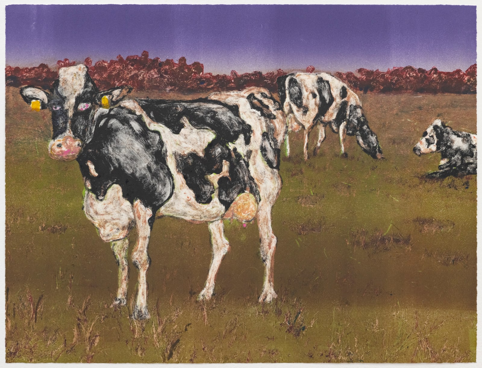 Andriu Deplazes, Holstein-Kühe in Dämmerung (Holstein cattle in dawn), 2023