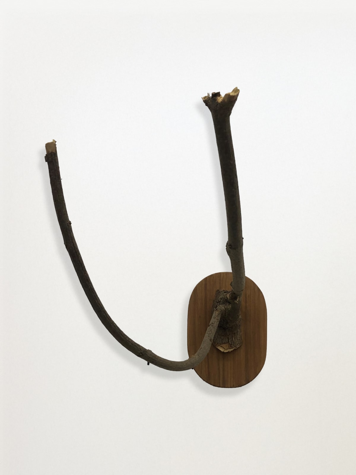 Christoph Hänsli, Erlegt Nr. 4, 2025