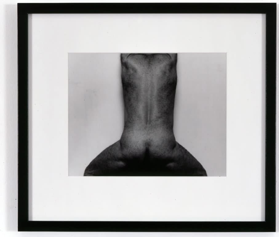 John Coplans, Self Portrait (Back View, Upright), 1985