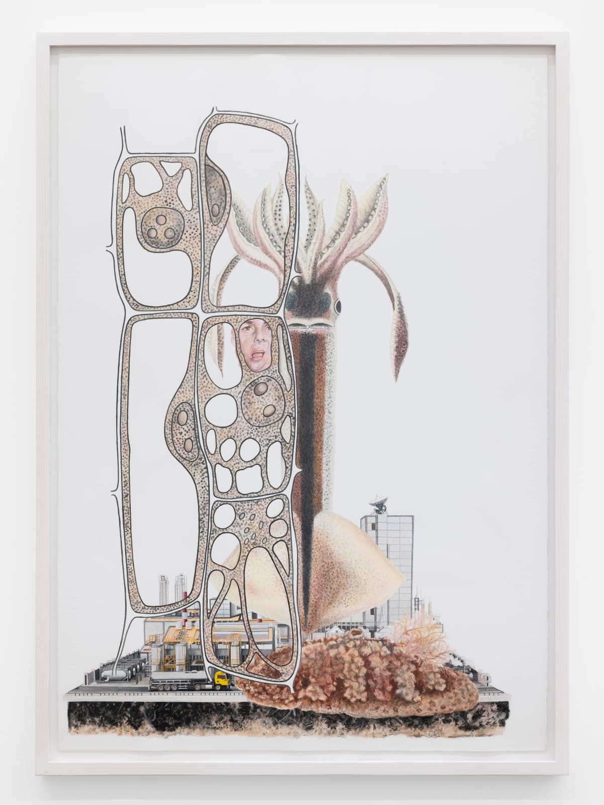 Melanie Smith, Sublime Meditations 45, 2024