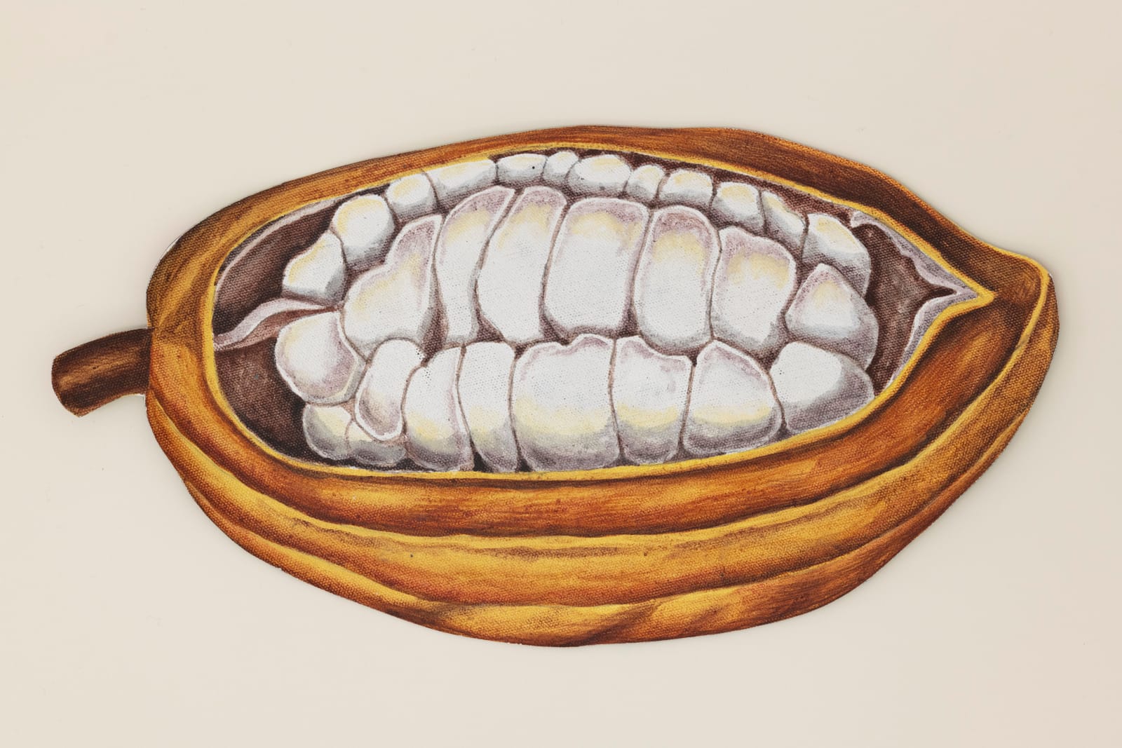 Ishita Chakraborty, Where the Wild Things Roam XI, Cacau, 2025