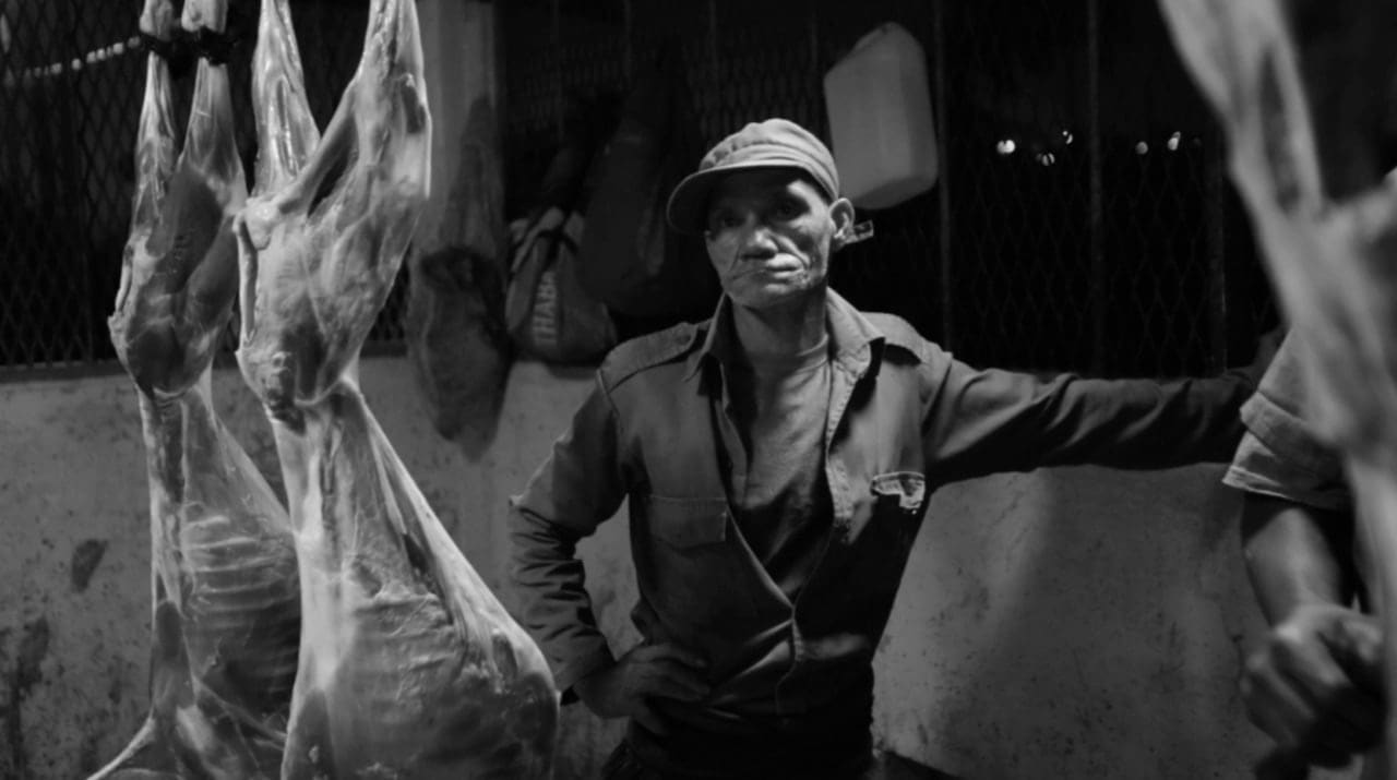 Los Carpinteros, Comodato, 2018