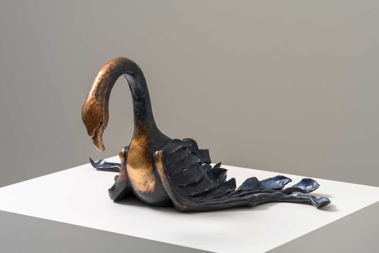 Grace Schwindt, Swan, 2021