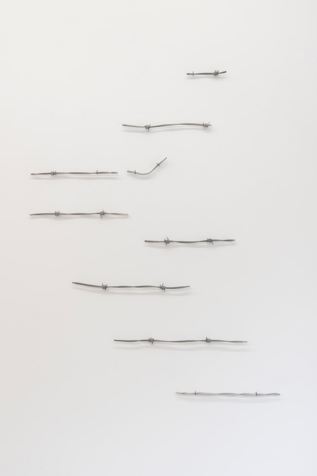 Ishita Chakraborty, Resistance X, 2025