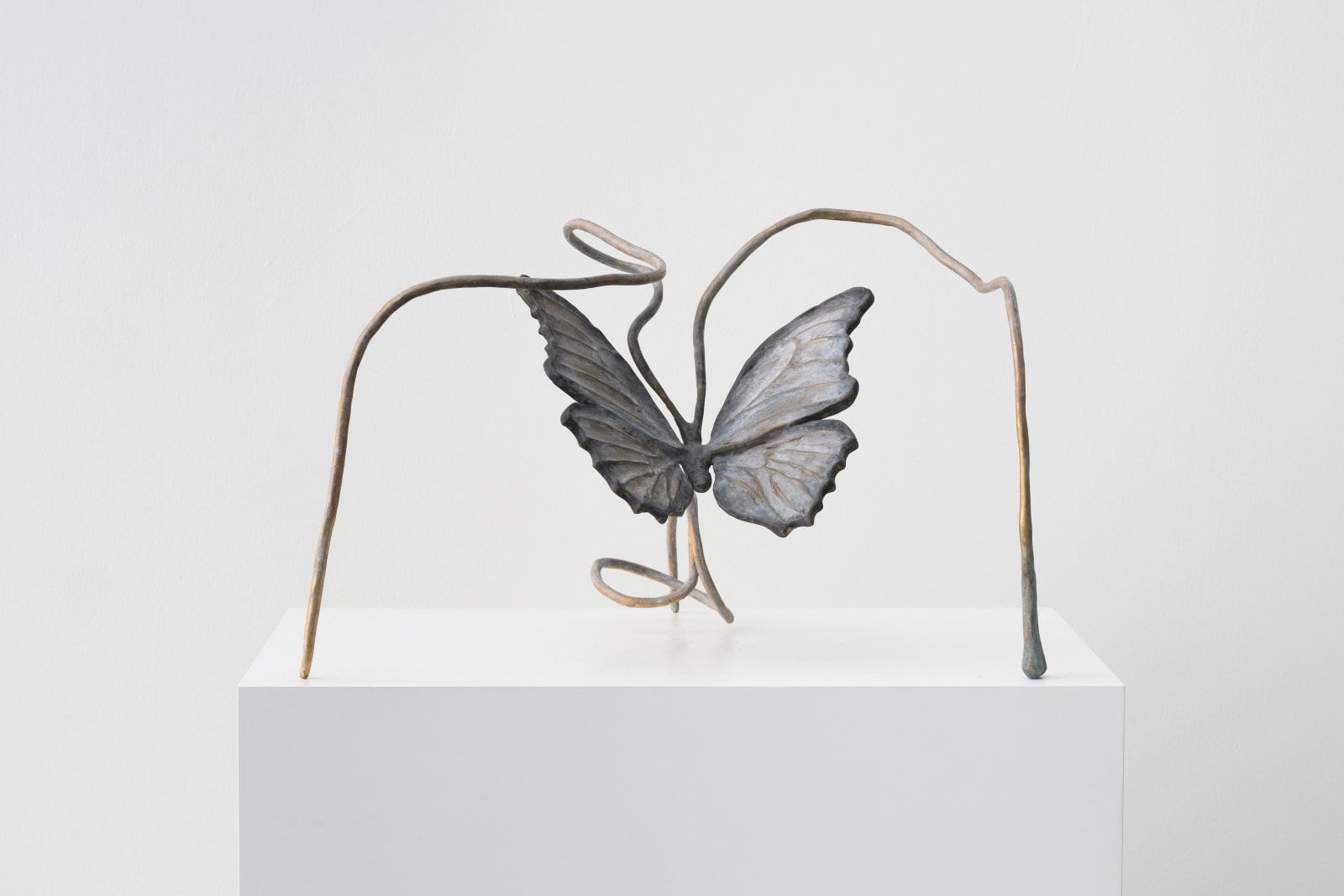Grace Schwindt, Butterfly, 2022
