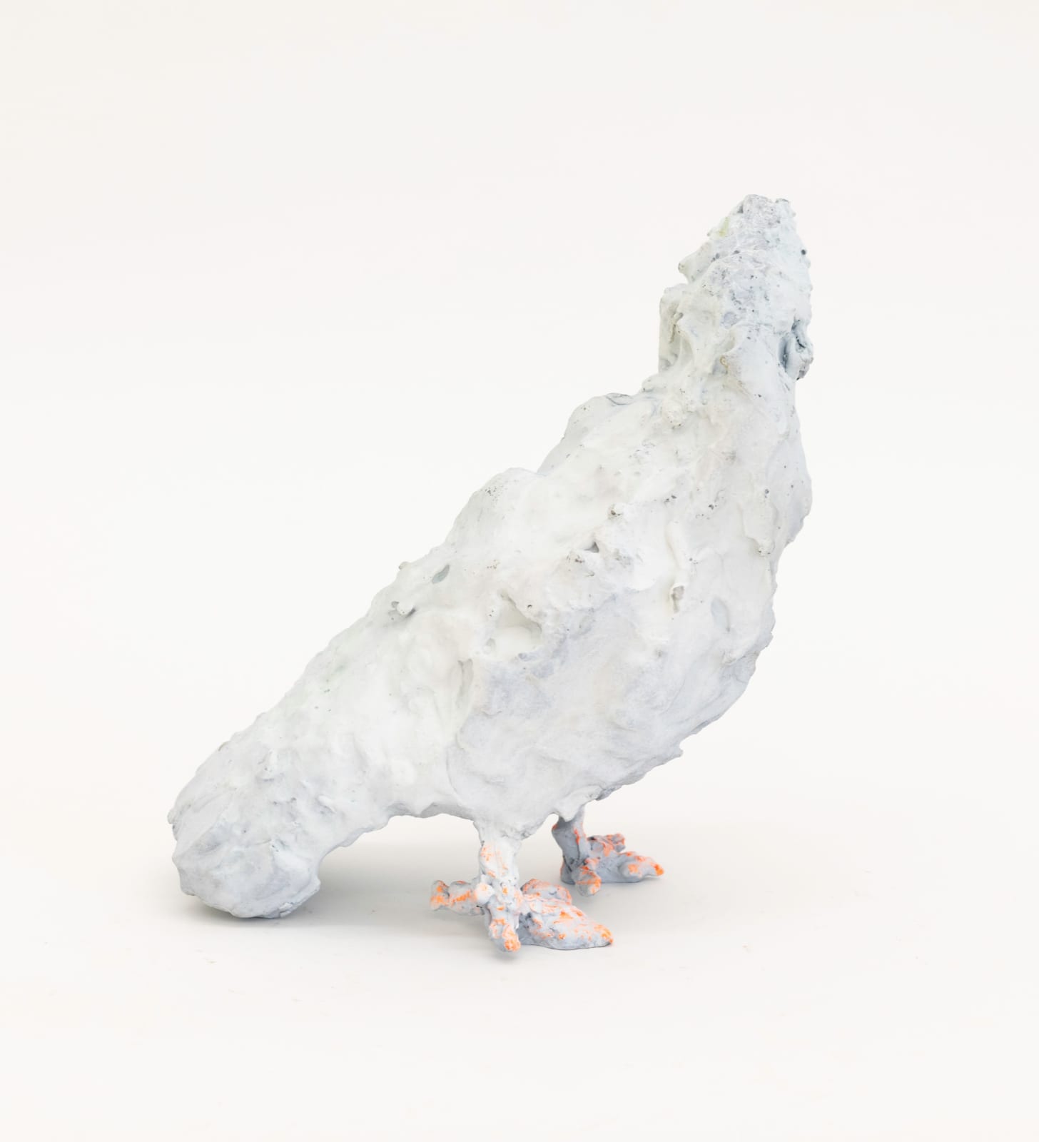 Andriu Deplazes, Aufrechte Taube, 2024