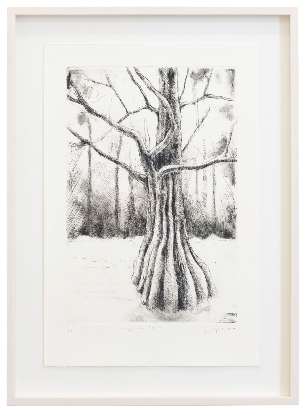 Didier William, Cypress (3), 2024