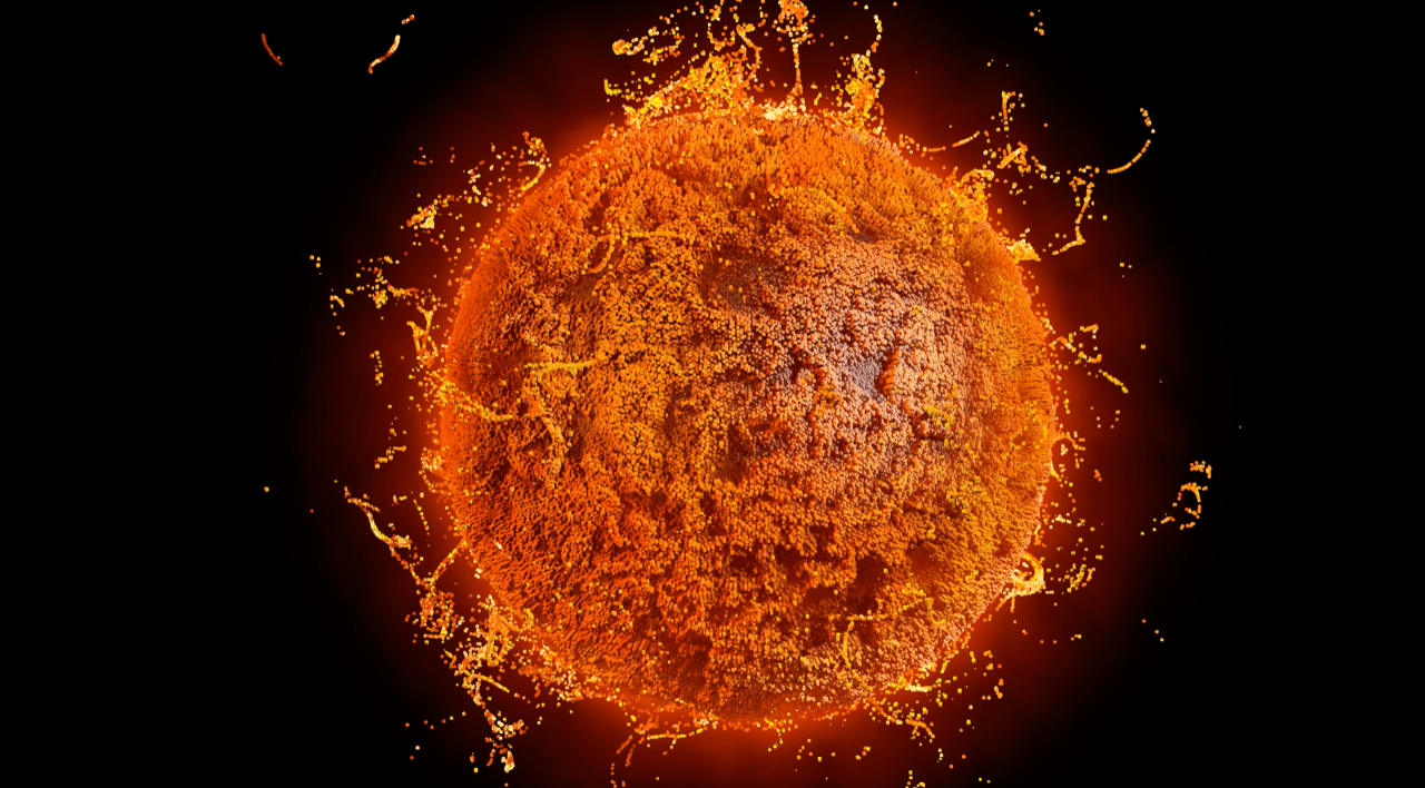 Dagoberto Rodriguez, Solar Storm, 2022