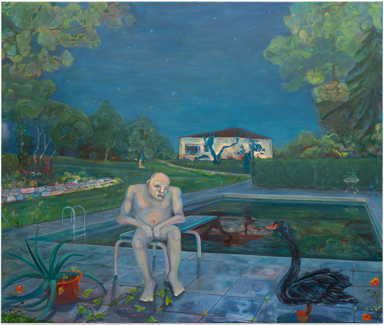 Andriu Deplazes, Vue sur black swan (View of black swan), 2023