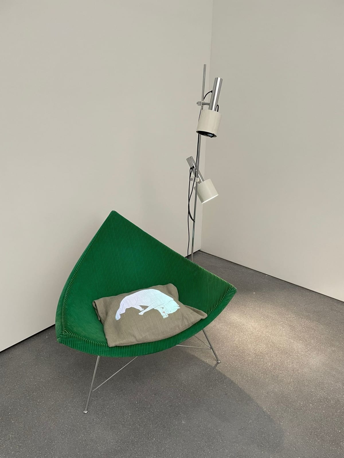 Zilla Leutenegger, Coconut cat, 2024