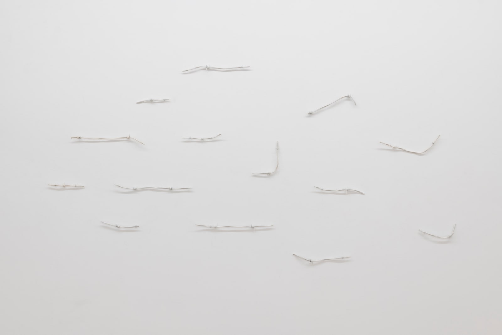 Ishita Chakraborty, Resistance VII, 2025