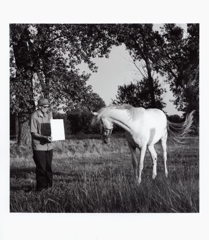 Bruno Jakob, Untitled (Horse)Invisible Painting / Brain, 2003