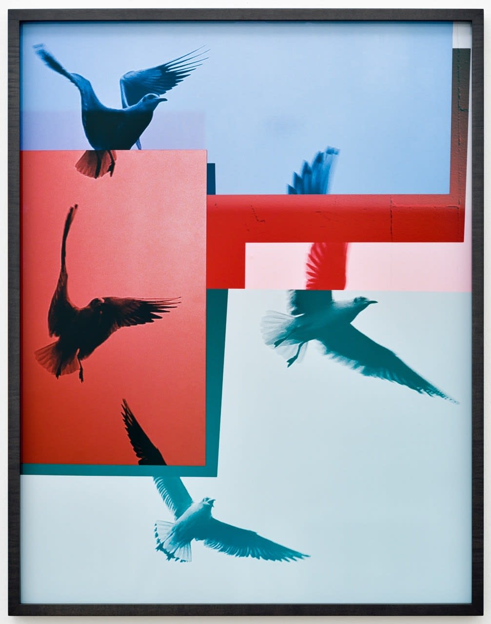 Shirana Shahbazi, Möwen Rot Blau (Red Blue Seagulls, Mouettes Rouge Bleu), 2020