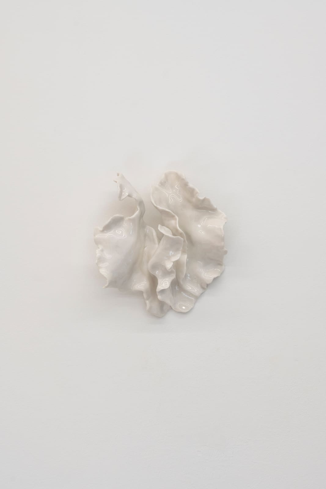 Alina Kopytsia, Flower (white), 2020