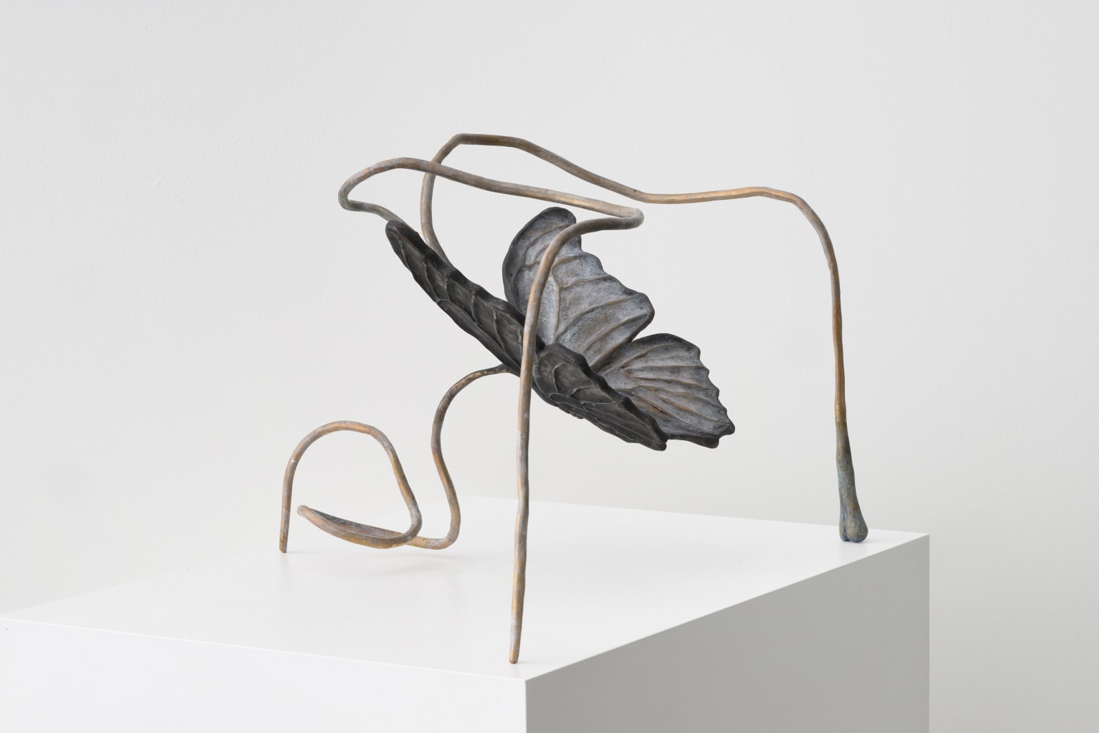 Grace Schwindt, Butterfly, 2022