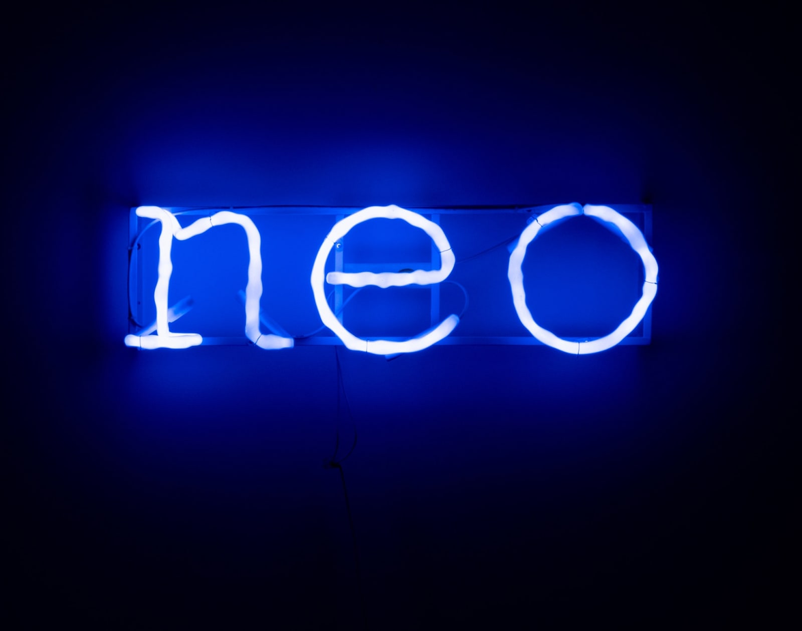Maja Bajević, Neo, 2024
