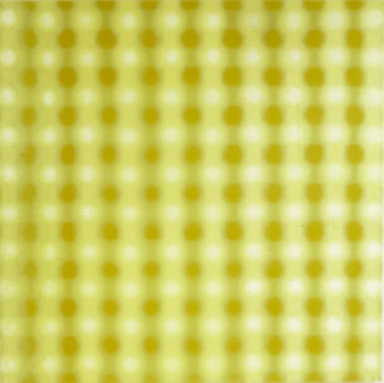 Melanie Smith, Fuzzy Frenzy, 2000