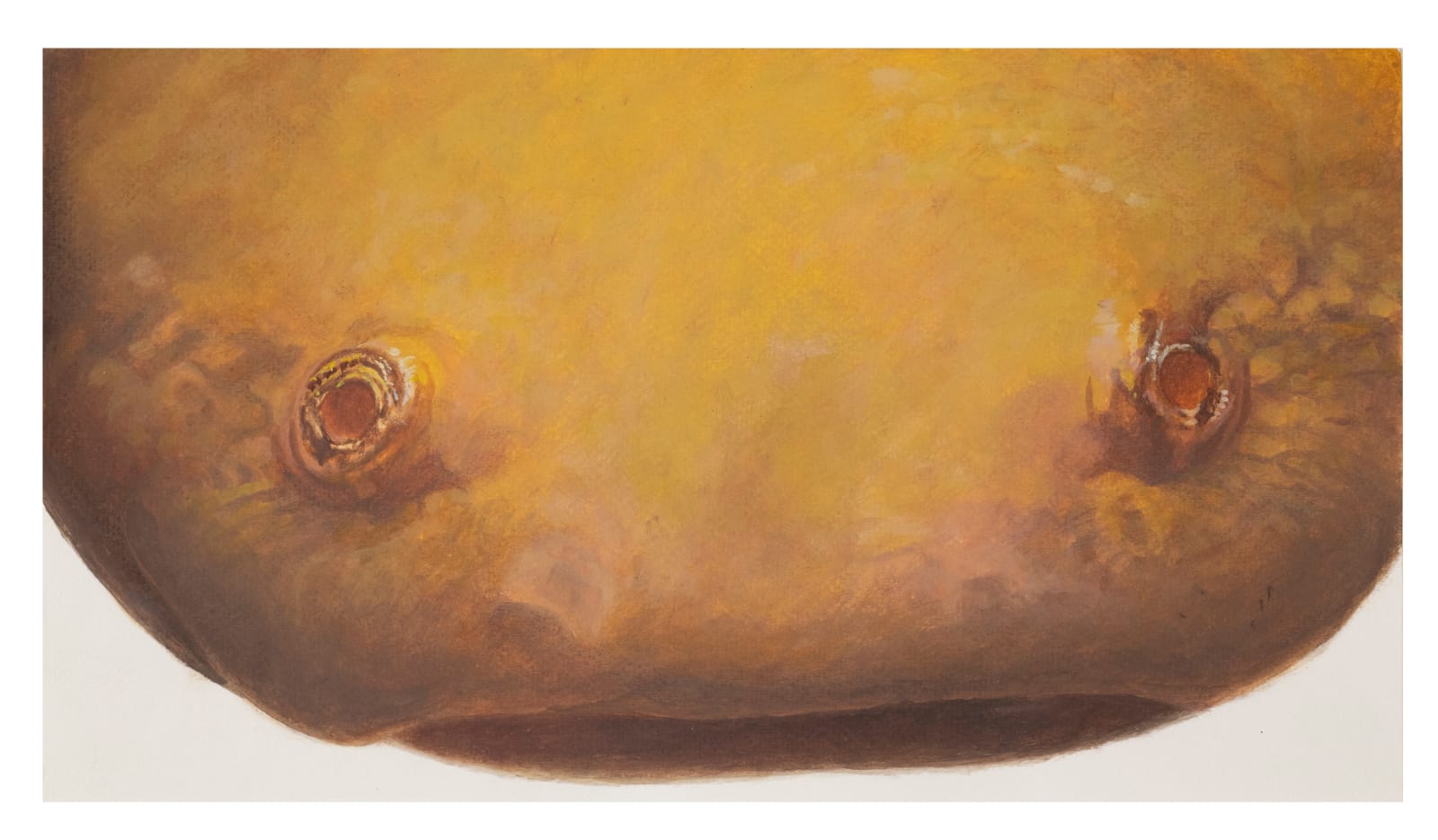 Melanie Smith, Animation drawing for Axolotl 32, 2025