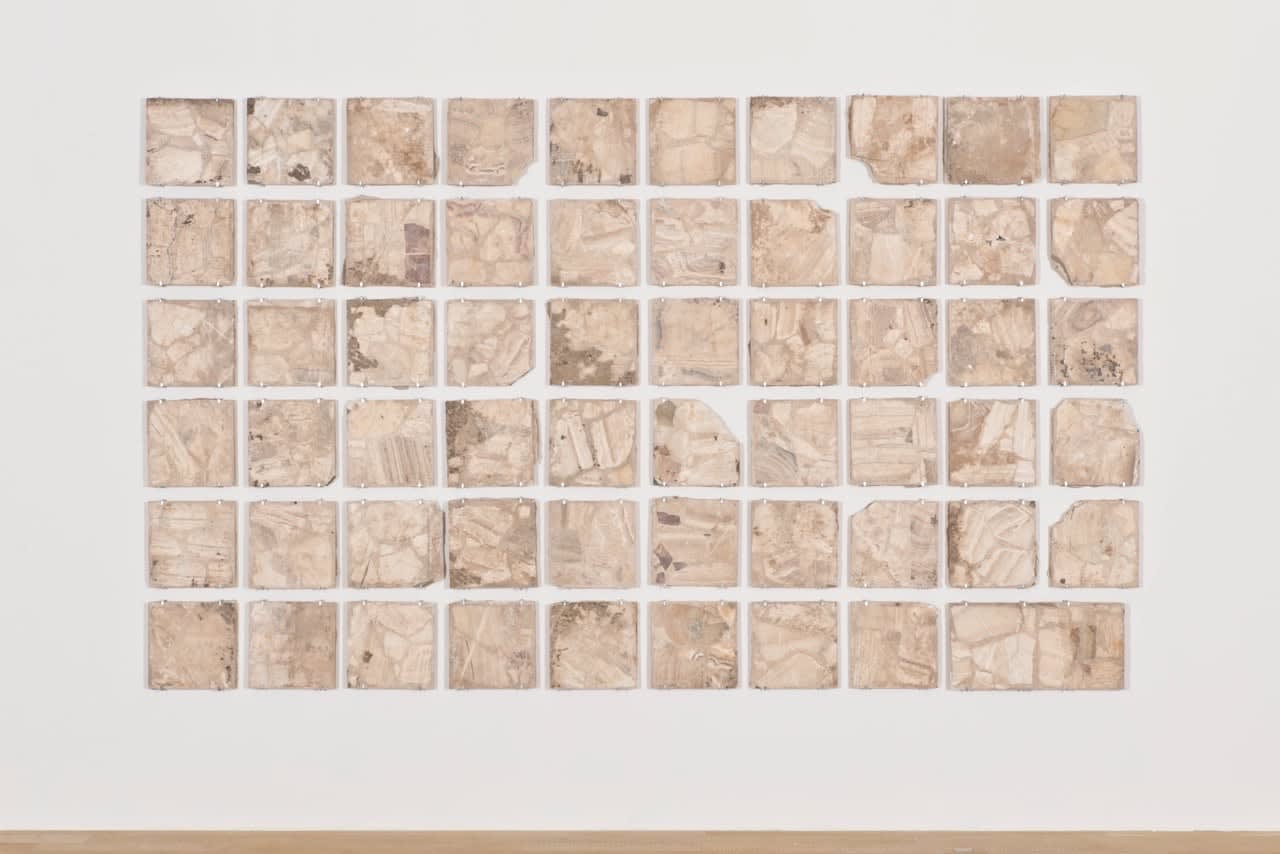 Teresa Margolles, Piso del club "Lago Blanco" (Floor from the club "Lago Blanco"), 2016