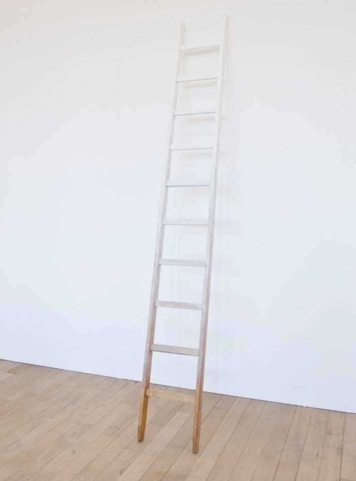 Jorge Macchi, Ladder, 2017