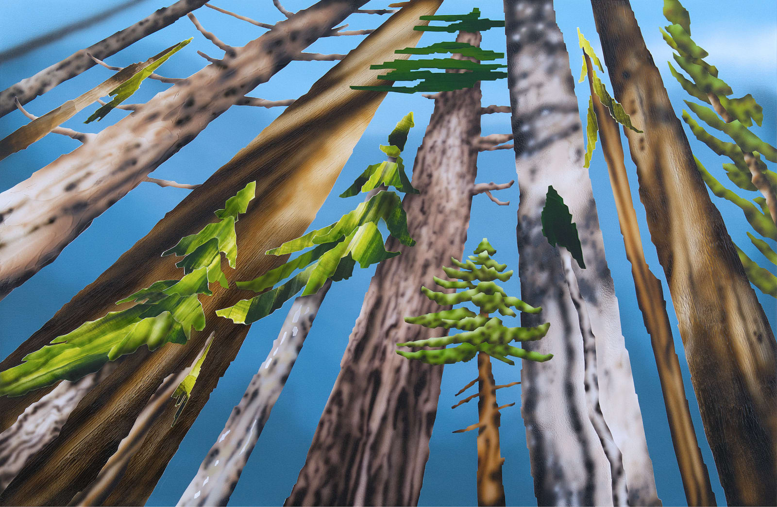 Gavin Lynch, Angles of Persuasion, 2025