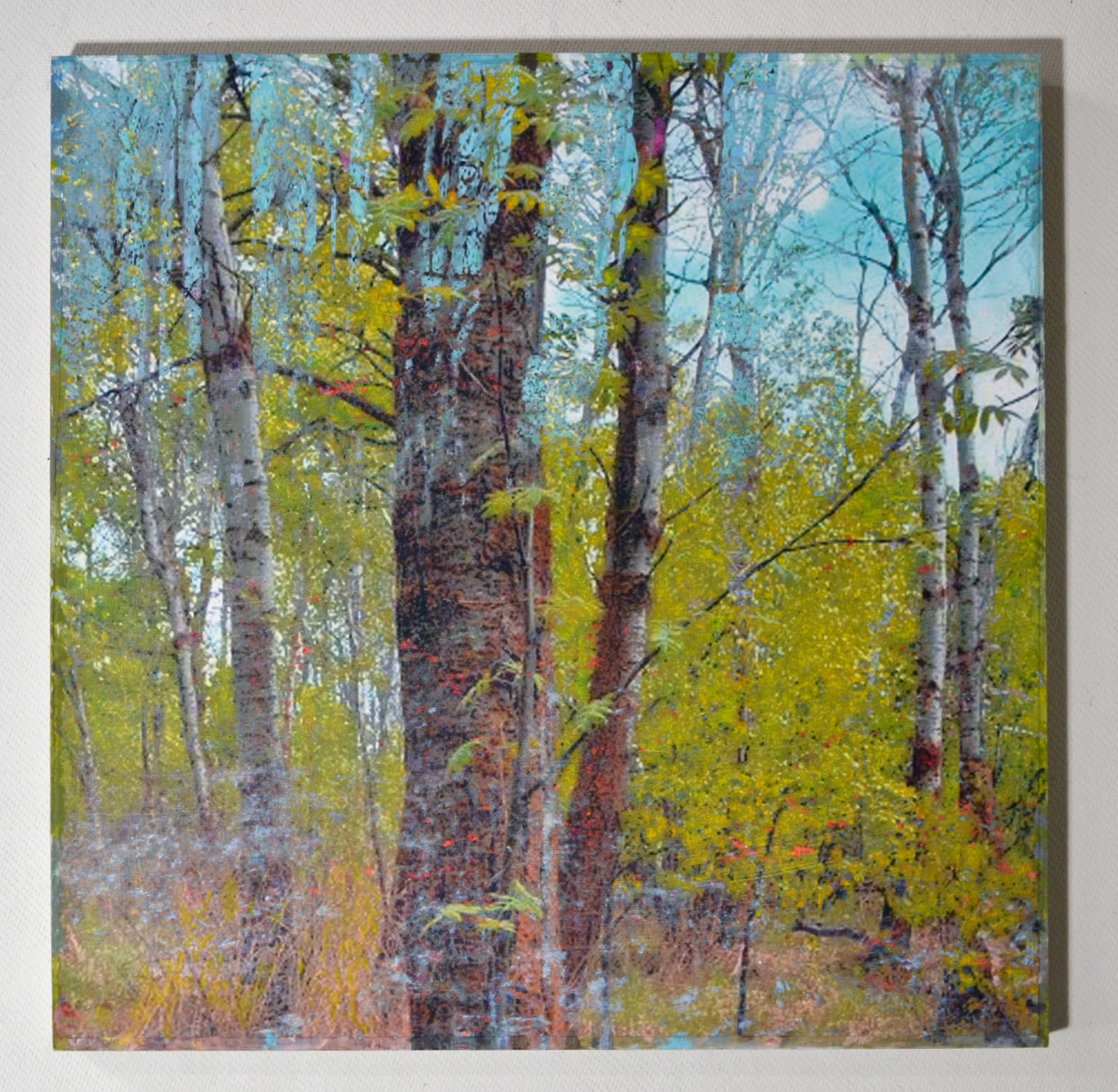 Robin Smith Peck, In the Woodlands #43, 2025