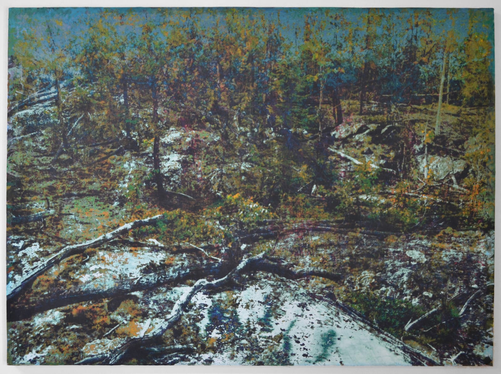 Robin Smith Peck, In the Woodlands #32, 2025