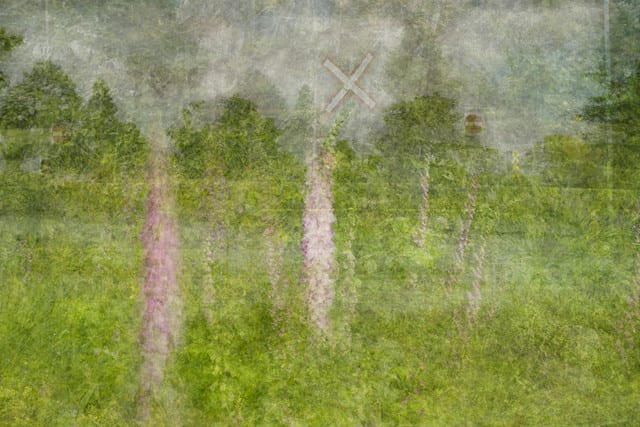 Bill Anderson, Digitalis, 2013