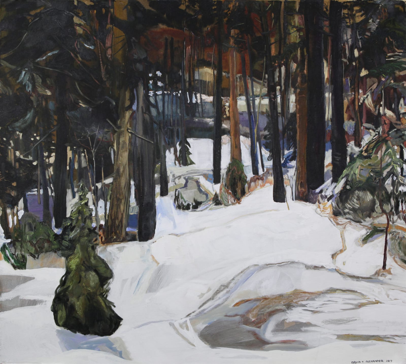 David T. Alexander, Codefied Silence Abounds, 2017