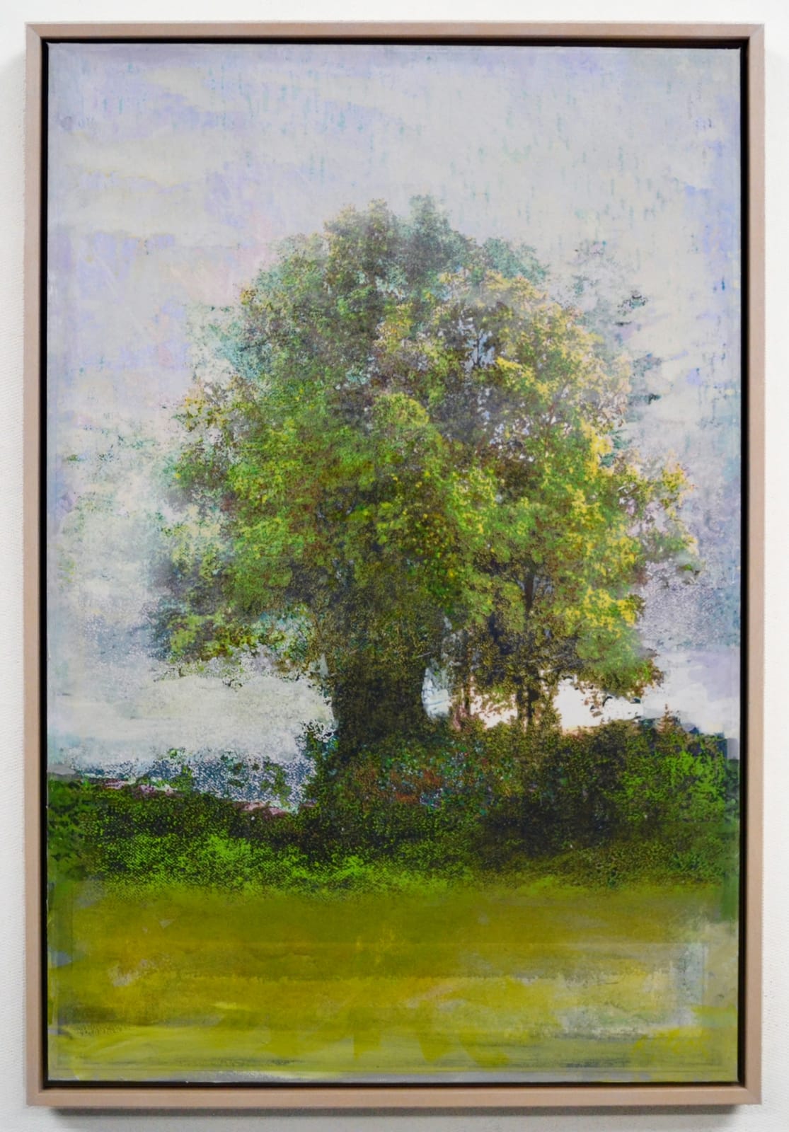 Robin Smith Peck, In the Woodlands 24, 2025