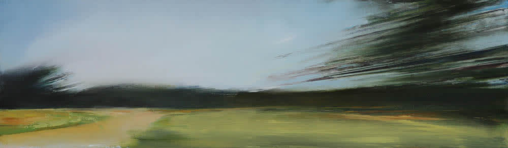 David Janzen, Turnaround, 2007