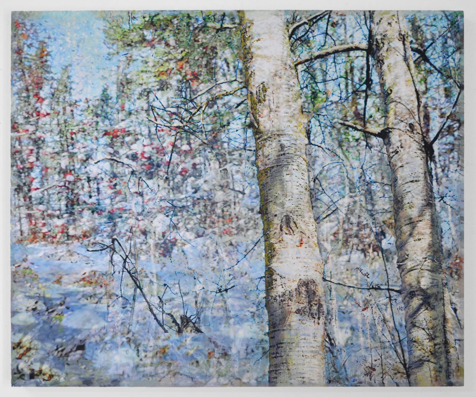 Robin Smith Peck, In the Woodlands #17, 2025