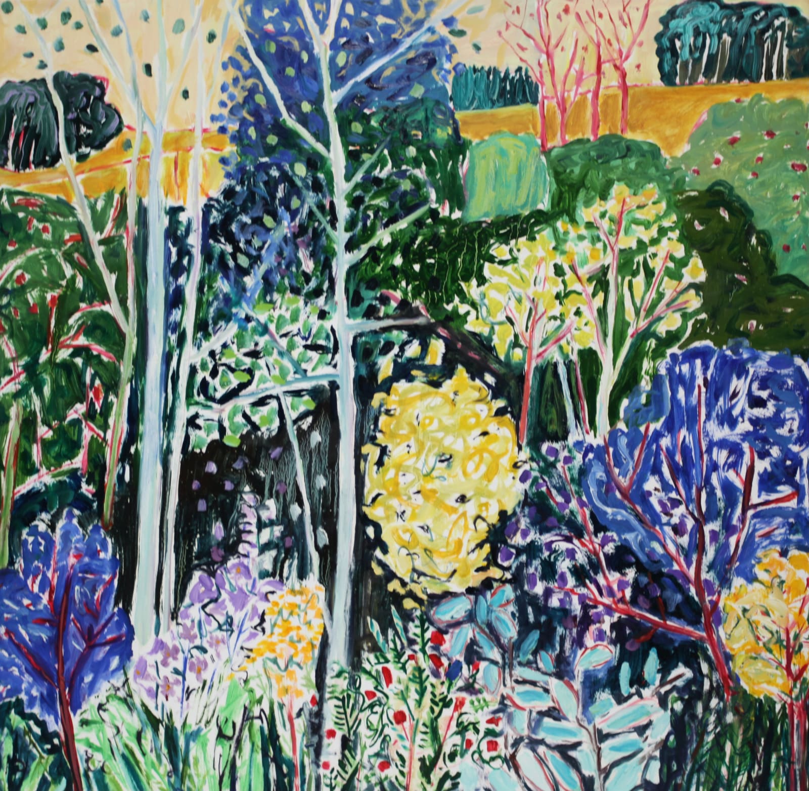 Lynn Malin, Bushes at Hairy Hill, 2023 Peter Robertson Gallery