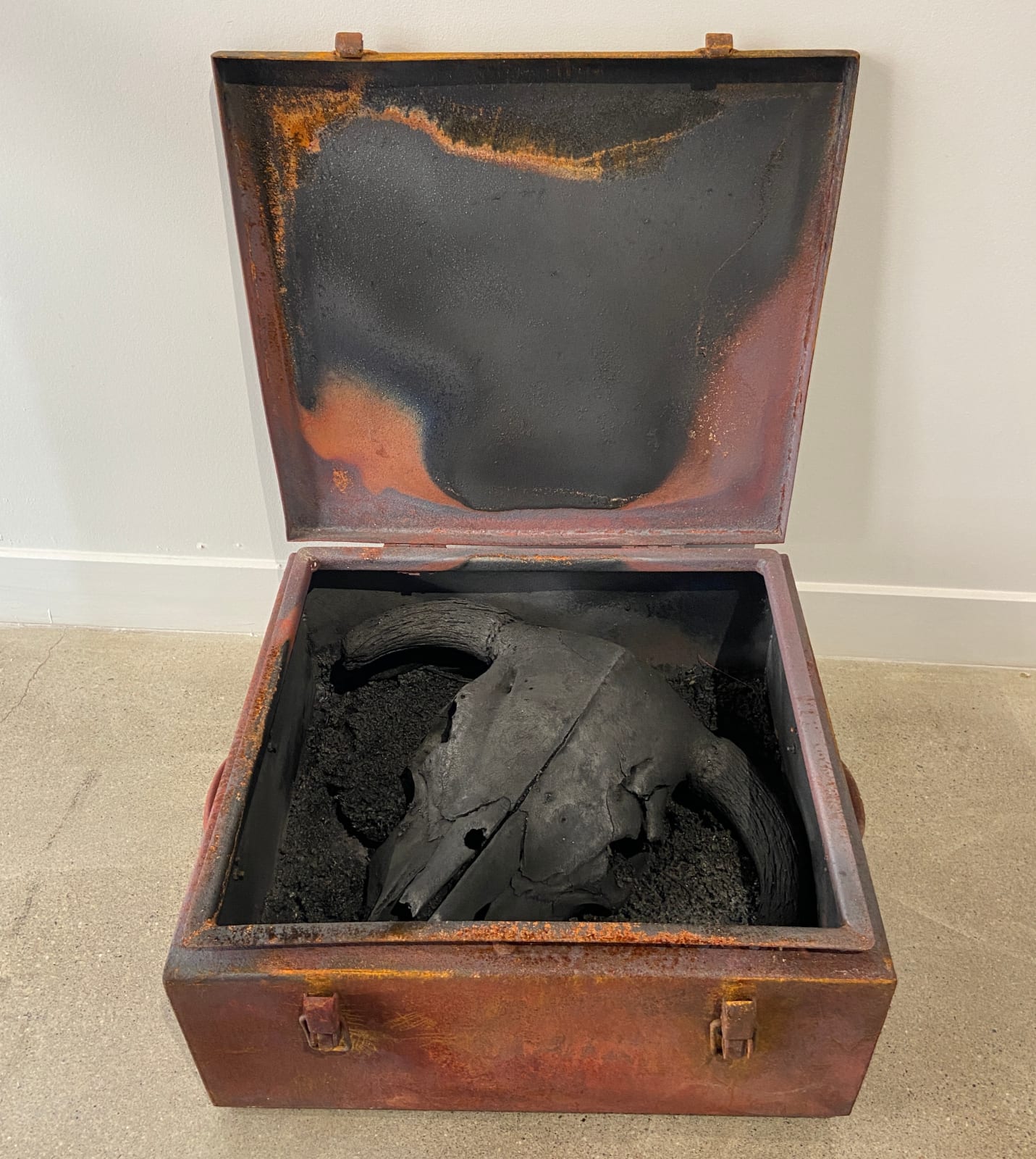 Peter Von Tiesenhausen, Bull , 2022